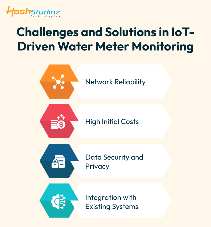 Challenges and Solutions in IoT-Driven Water Meter Monitoring